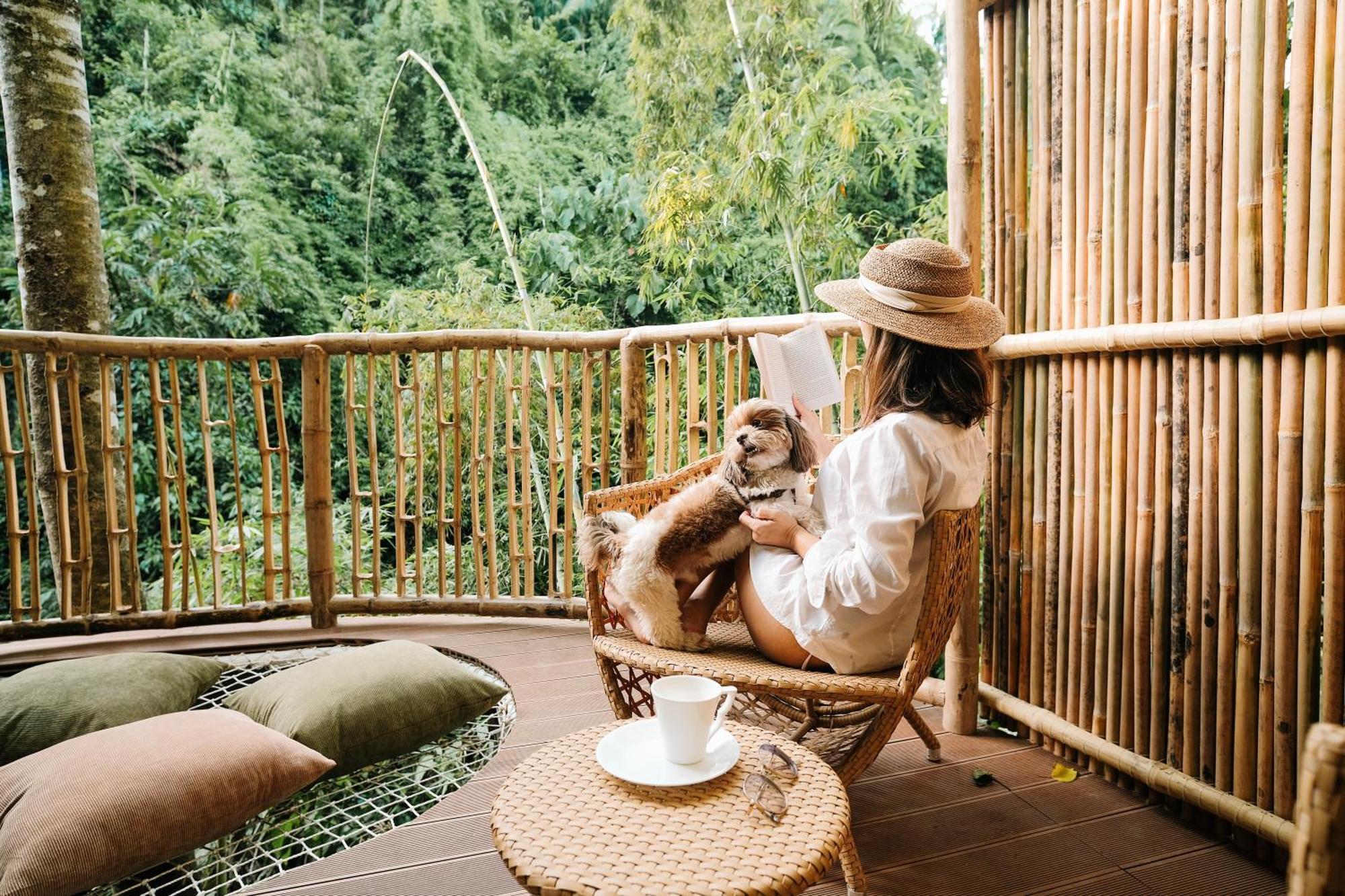 Treehouse De Valentine Villa Balamban ภายนอก รูปภาพ